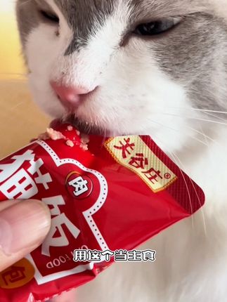 #关谷庄猫饭 #猫饭 #主食猫饭 #猫饭主食包 #猫咪湿粮包