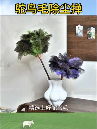 掸尘迎新鸵鸟毛掸子除尘扫灰静电清洁神器轻奢装饰摆件鸡毛除尘掸#鸵鸟毛除尘掸 #好看 #推荐 #好物 #分享