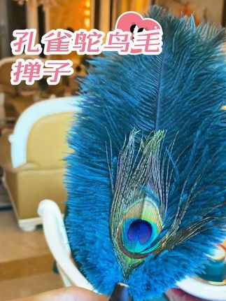既能当一件居家艺术摆件又能优雅的清洁扫灰,太爱了~#孔雀鸵鸟毛掸子 #家居好物 #非遗文化传承