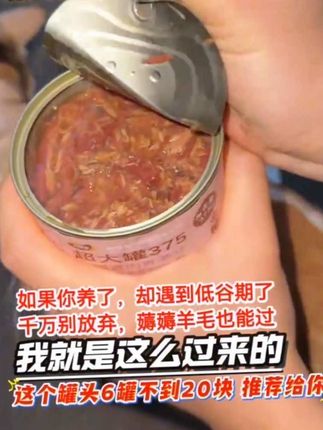 人与人之间,不该需要有点边界感吗?#拒绝遗弃 #领养代替购买 #铲屎官 #田园猫 #记录猫咪日常 375克大罐金枪鱼,冲销量的价,刷到还是这个价的,可以囤