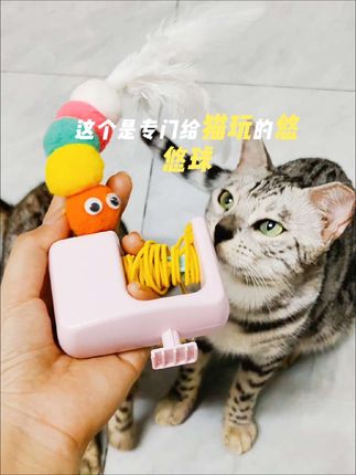 给猫咪安排一个逗猫神器,终于可以解放双手了,电动的,猫咪可以自嗨一整天#有一群小猫即将被摸猫头 #萌宠好物 #逗猫神器