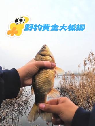 空军基地?不存在的!#钓鱼人就是这么疯狂 #钓鱼人