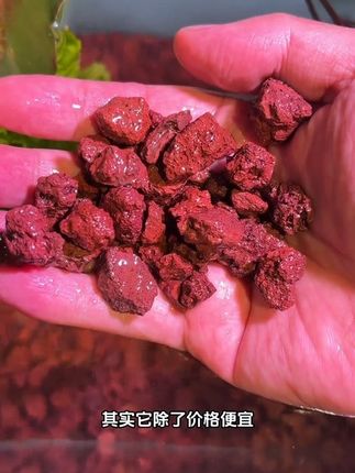 #火山石 #鱼缸造景 #鱼缸里的大自然 #鱼缸火山石 #养鱼日记