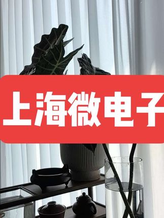 昨天深夜睡,一周末的成果。很多人问怎样思考,怎样学习,这就是思考的方式方法。只做确定性,积少成多,正心,正念,正道,正行!#上海微电子 #中芯国际 #中微公司 #新凯来 #华虹半导体 这些是中国半导体未来发展的天,难得半导体产业链齐聚上海或者周边,这也是我一直看多上海的本,无论是晶圆代工,半导体设备,生物医药,ai算力,上海占据了天时地利人和。