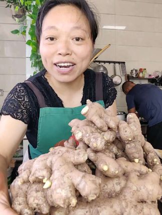 #云南高山小黄姜#现挖现发新鲜小黄姜@DOU+小助手