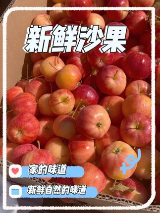 #新鲜采摘 #应季水果 #你的家乡有这种果子吗 2025年新鲜的海棠果太平果,东北沙果。新鲜现摘,一口爽脆,酸甜可口。老少皆宜,想吃的抓紧了啊,过几天没有啦。