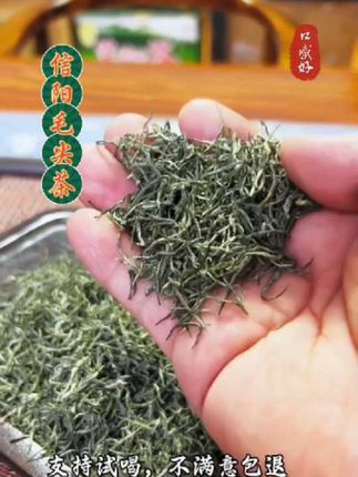#茶叶 #今天你喝茶了吗 #绿茶 #喝好茶 #信阳毛尖