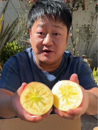 正宗云南昭通丑苹果,脆甜可口,很好吃#新鲜现摘现发
