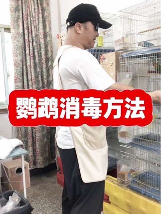宠物鹦鹉繁殖鹦鹉我的消毒方法之一#鹦鹉日常 #鹦鹉小白 #鹦鹉繁殖 #宠物消毒