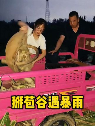 生活正如天气一样,有晴有雨,有收获也有失落。玉米地里,夕阳被乌云吞没,转眼电闪雷鸣,我叔手里掰着小小的玉米棒,心里五味杂陈,“这一季,本钱都难回来……”,这也许就是普通人最真实的生活——不一定每份耕耘都有丰收,但对于农民来说,下一季依旧会播种希望。#我的农村生活 #三农 #新农人计划2025 #农民种地不容易
