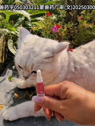 内外同驱特别方便#邦崽#驱虫#养猫日记 #新手养猫#宠物驱虫