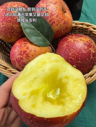 昭通丑苹果,别看皮上有点“小雀斑”,咬一口全是糖心甜!日照足,温差大,自然长熟不催熟。丑是丑了点,但果肉脆嫩,汁水多到飙,甜得实实在在。咱吃的是味道,不是颜值。昭通丑苹果,丑得有道理,甜得够地道!#丑苹果 #又脆又甜 #新鲜应季水果 #口感特别好#现摘现发新鲜到家