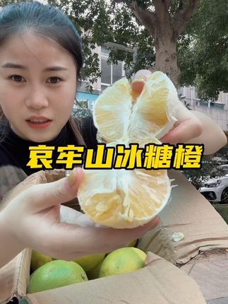 感觉像徒手炸橙子汁一样的,皮薄肉厚汁水巨足, 家里人都特别喜欢吃#新鲜采摘 #应季水果 #冰糖橙 #橙子 #哀牢山冰糖橙