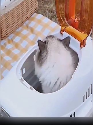 #宠物航空箱 #猫包外出便携包便携外出宠物航空箱猫咪狗狗笼子车载太空舱背包#萌宠好物@抖音小助手