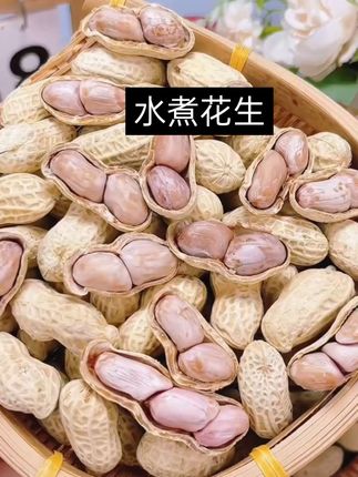 它都是用新鲜花生米水煮烘干而成,颗颗饱满,吃起来特别香脆,而且越嚼越香,平时追剧下酒的时候来上一把,那叫一个美滋滋。趁现在划算,喜欢吃花生的朋友千万别错过!#花生 #龙岩美食 #水煮花生 #越嚼越香 #生活日常