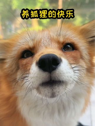 星期一和礼拜五