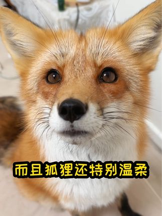 星期一和礼拜五