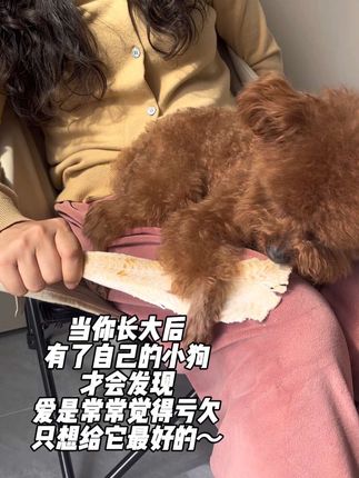 秋日午后,一起晒太阳,给毛孩子安排个下午茶~#是宠物更是家人 #萌宠好物 #宠物零食 #狗零食 #猫零食