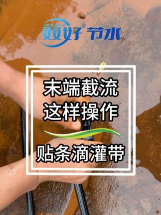 浇地别费劲了!贴条滴灌带铺好,打开开关就成,省水又省劲儿,咱能歇着,庄稼还长得好! 3 #滴灌带 #水肥一体化 #农业种植 #农田灌溉 #节水灌溉