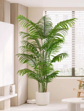 #仿真植物 #散尾葵仿真绿植#仿真绿植摆件#室内盆栽假树 #轻奢装饰摆件 #仿真花