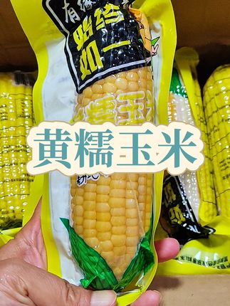 东北黄糯玉米,买10根可以试吃5根#黄糯玉米 #糯玉米 #真的太好吃了