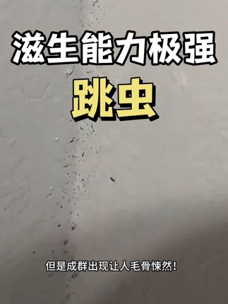 注意!墙角花盆边有黑点的小虫还能跳,这可不是小蚂蚁,这是跳虫,又叫烟火虫。它只有1-3毫米的大小,跳虫喜欢吃霉菌,所以它经常出没在阴暗潮湿的地方,特别是潮湿的卫生间、厨房缝隙、盆栽附近、还有踢脚线、墙角缝隙等地方,虽然跳虫不咬人,但是成群出现,让人毛骨悚然。跳虫不仅影响环境卫生,还污染食物、破坏绿植,可以用这款杀跳虫的杀虫剂,喷洒在跳虫出没的地方,无色无味。孕婴宠家庭放心使用,轻松还你干净家居!#跳虫怎么消灭 #跳虫会咬人吗 #跳虫危害 #跳虫杀虫剂 #跳虫