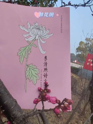 酴釄落尽,犹赖有梨花 #当我飞奔向你表白片段