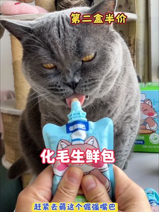 小猫咪一边吃饭一边化毛 蓝胖子沉浸式吃化毛生鲜包#倔强嘴巴化毛生鲜包#萌宠好物 #宠物排毛