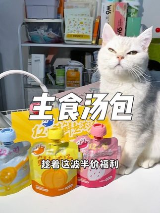 短脖子乔治汤包第二件活动来啦#主食汤包 #宠物知识 #猫咪 #猫咪的迷惑行为