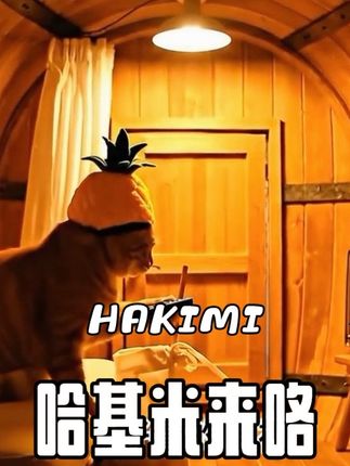 又要来台风了 #萌宠出道计划 #台风 #橘猫 #死别手风琴版