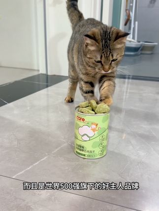 好主人的排毛冻干好吃排毛效果还好哦#养猫新手 #萌宠好物 #猫咪排毛 #猫草 #养猫新手