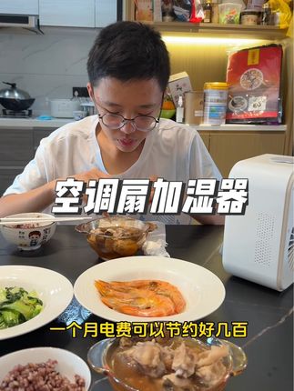 现在吃饭都是把这个空调扇放餐桌上,很冰很凉爽,还可以加湿#记录真实生活 #空调扇 #加湿器