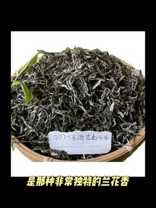 2023景迈细腻古树头春生茶(700年左右树龄)香气试饮#蝴蝶结贴纸第五人格 #自由卡牌 #茉莉奶白西南限定熊猫周边 #诗情画奕周边