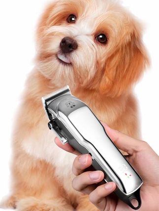 宠物电推剪 #宠物电推剪 #宠物理发器 #省时省力 #适合各类宠物 #宠物电动推子 @巨量千川