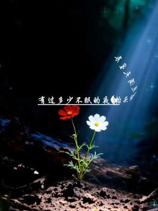#有过多少不眠的夜晚抬头就看见满天星辰 #雅轩缘#俗尘文字