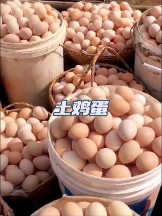 #农村土鸡蛋 #鸡蛋 #农产品 #散养土鸡蛋 #土鸡蛋