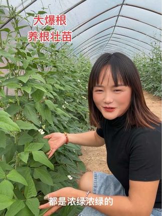 大爆根增根剂,我们连续用了几年了,效果真的很不错,分享给大家,适合各种瓜果蔬菜果树类,能用得到的家人们,放心入#自用好物分享 #大爆根 #养根健发