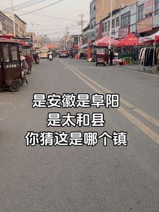 这里是安徽阜阳太和县 你猜这是哪个镇#乡镇 #热闹的一条街 #集市