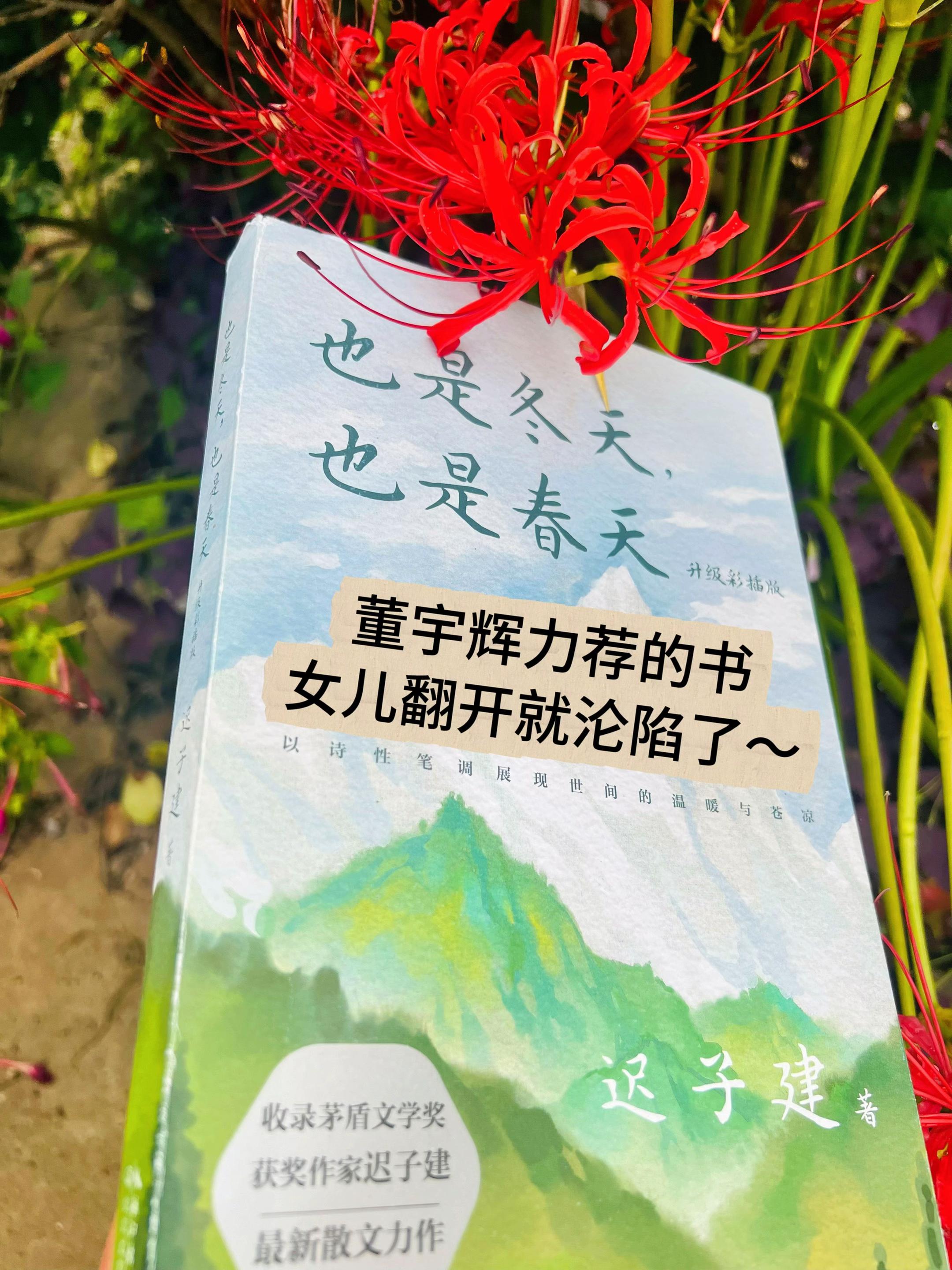 因为董宇辉挖到宝藏作家迟子建,她的文笔真的美到落泪……好词好句多得真的摘抄不过来,让孩子多阅读,多积累,轻松提高写作水平#迟子建 #作文素材 #好书推荐 #让阅读成为一种习惯 #董宇辉