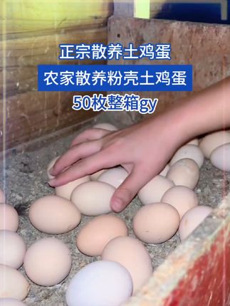 #土鸡蛋 #农家散养土鸡蛋 #好吃又营养 #鸡蛋 #优质农产品 z