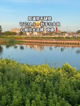 谁能拒绝!茶语抽纸一次到手10包!软乎乎擦脸超舒服,还韧到不易破,无荧光剂又安心,大品牌活动价闭眼囤!#抽纸 #生活用纸 #在抖音入手的好东西 #无限回购的宝藏单品