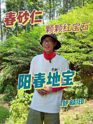 阳春春砂仁搭配,阳春春砂仁如何搭配?什么是阳春春砂仁? #阳春春砂仁 #春砂仁 #春砂仁根 #这也能开播 #抖音创作者大会