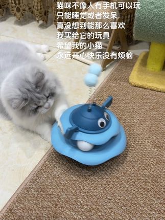 真没想到能那么喜欢我买给它的玩具,希望我的小猫永远开心快乐没有烦恼#萌宠 #宠物玩具 #猫玩具 #毛孩子 #是宠物更是家人