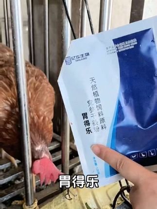 #我要上热门鸡吐水,过料消瘦 #三农 #新农人计划 #养殖 #科学养鸡 @DOU+小助手
