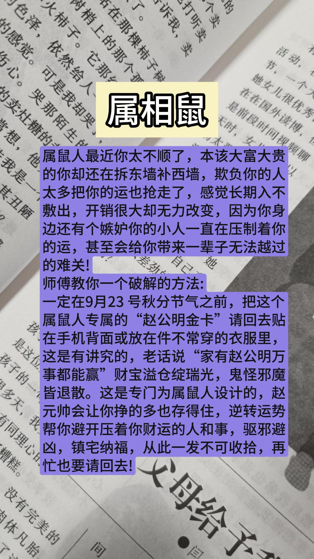 #鼠 #属鼠 #生肖鼠