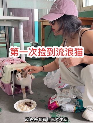 天天看别人捡猫。终于也轮到咱了,也算是有缘分遇到了我。如果我天天捡猫 我能天天养。哈哈哈 #流浪猫
