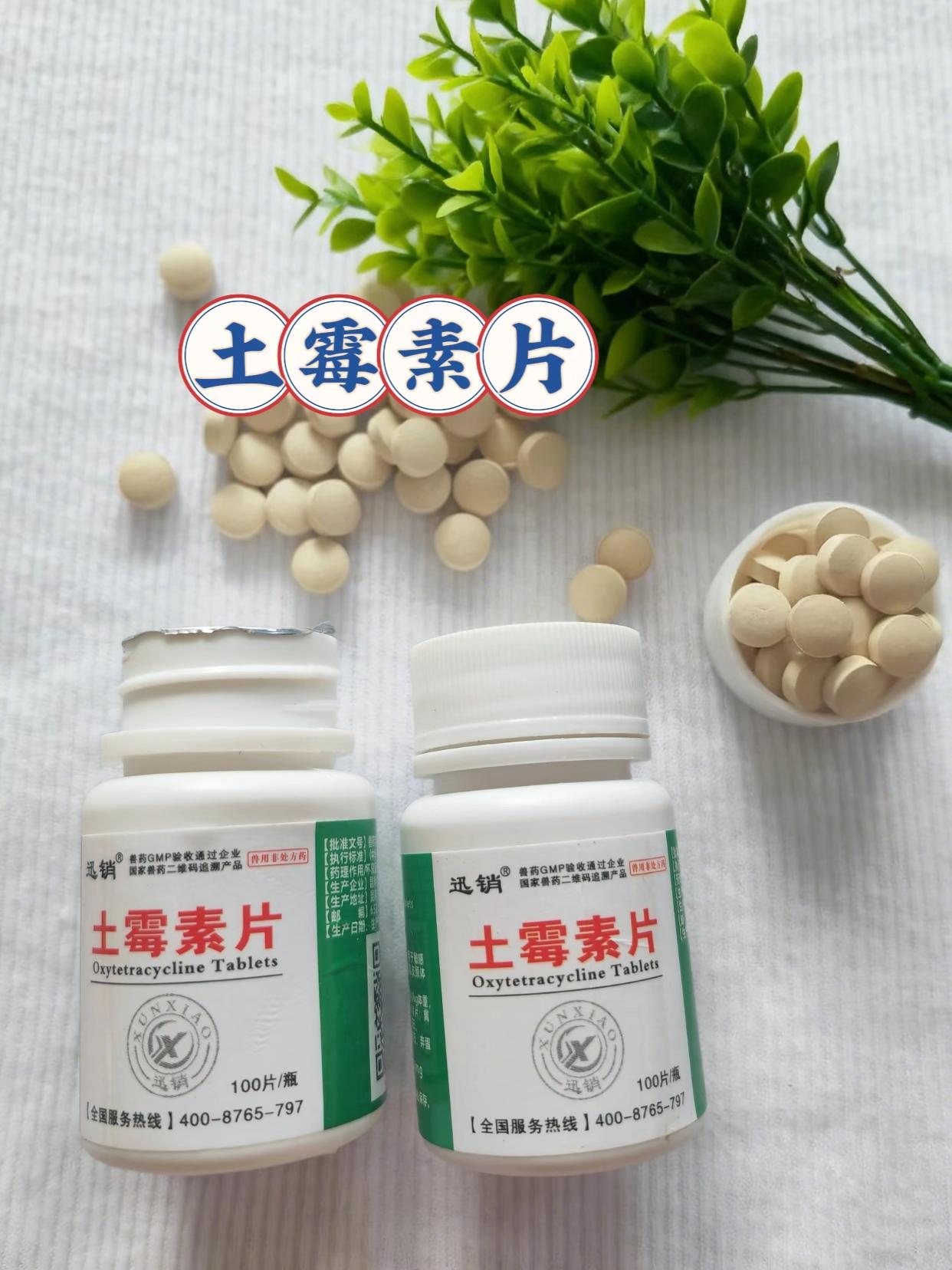 #养狗经验 #养猫经验分享 #新手养狗 #新手养猫 #科学养宠