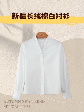 【极地白】久洗不黄新疆长绒棉纱白衬衫衬衣上衣/CSBH530#白衬衫 #高端女装
