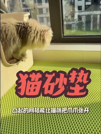 #猫砂垫 #养猫人必备 #猫砂垫双层过滤 #猫砂垫测评 #猫砂垫推荐