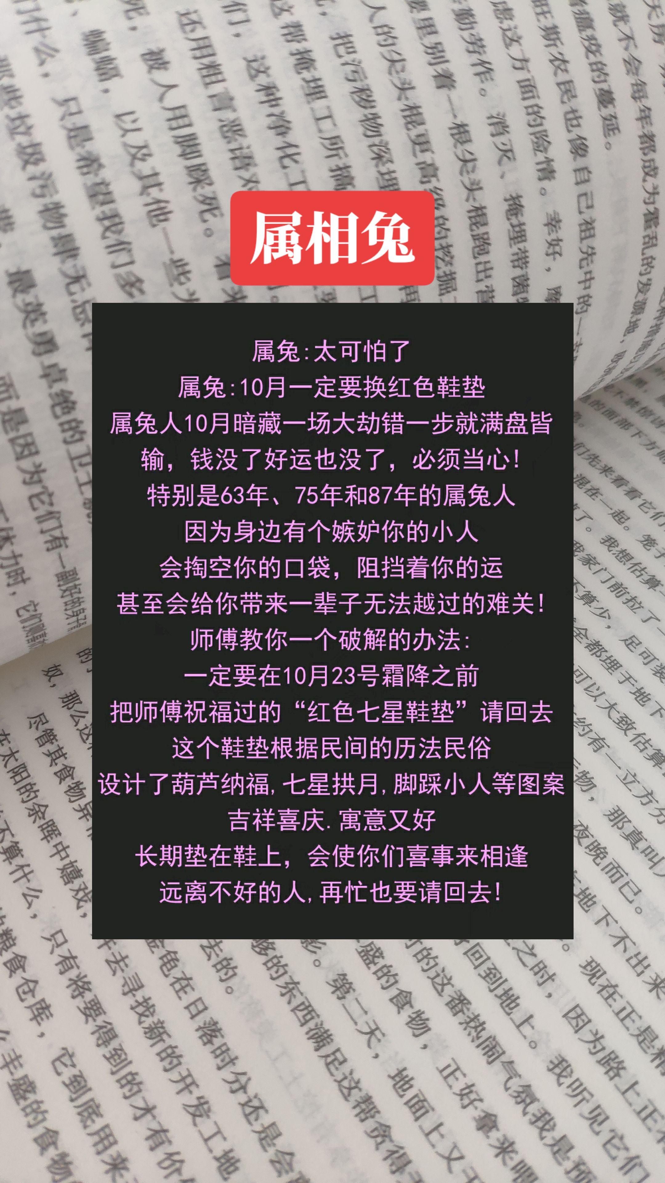 #兔 #属兔 #生肖兔